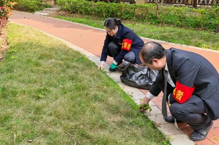 1773624773586383.jpg 2.jpg