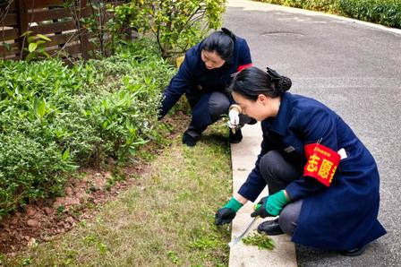 1773624781644753.jpg 3.jpg