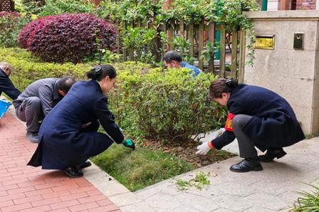 1773624824743597.jpg 5.jpg