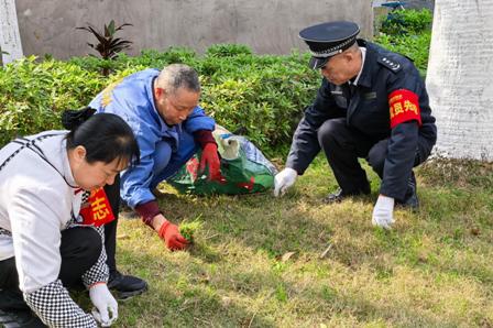 1773624833923362.jpg 6.jpg